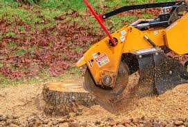Best Lawn Mowing  in Tladega, AL